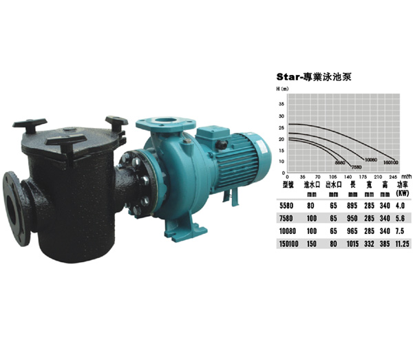 泳池循環(huán)泵,泳池水泵亞士霸泳池泵 泳池設(shè)備